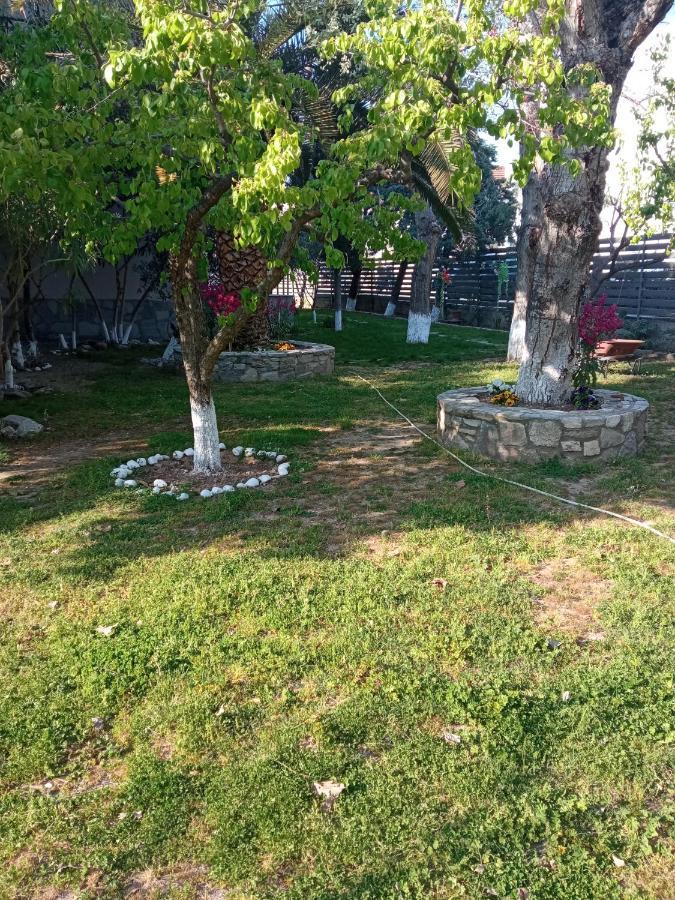 Apartmán Sofia'S Garden Néa Péramos Exteriér fotografie
