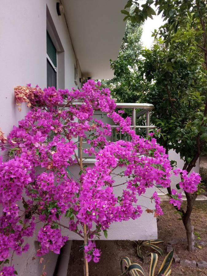 Apartmán Sofia'S Garden Néa Péramos Exteriér fotografie